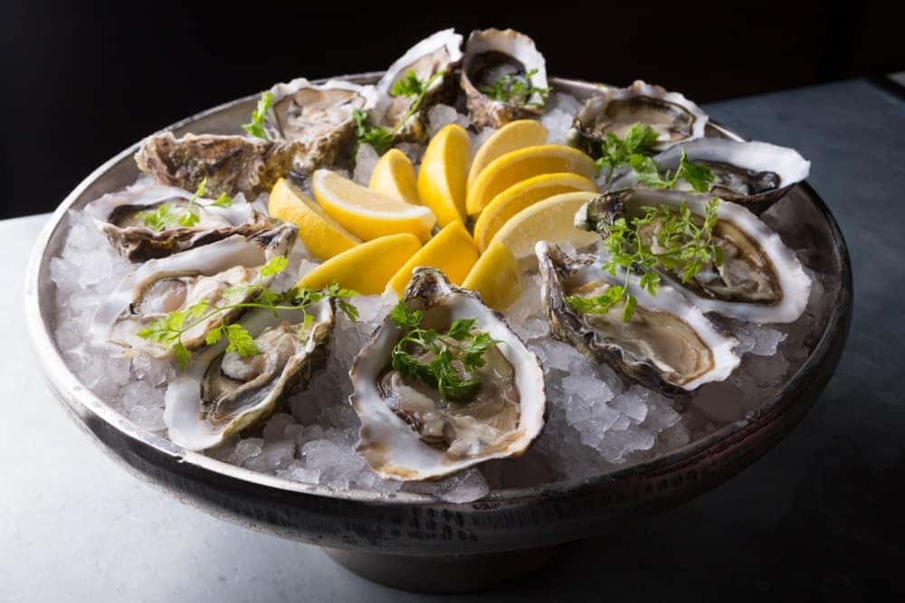 Oyster